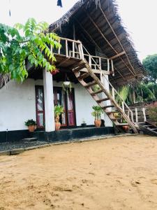 Exterior and garden