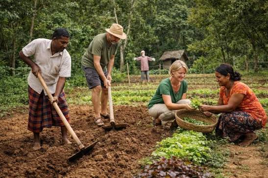 Preparing the land